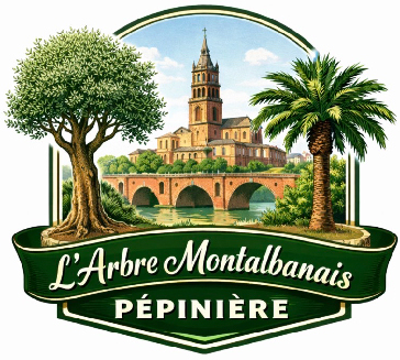 L'Arbre Montalbanais